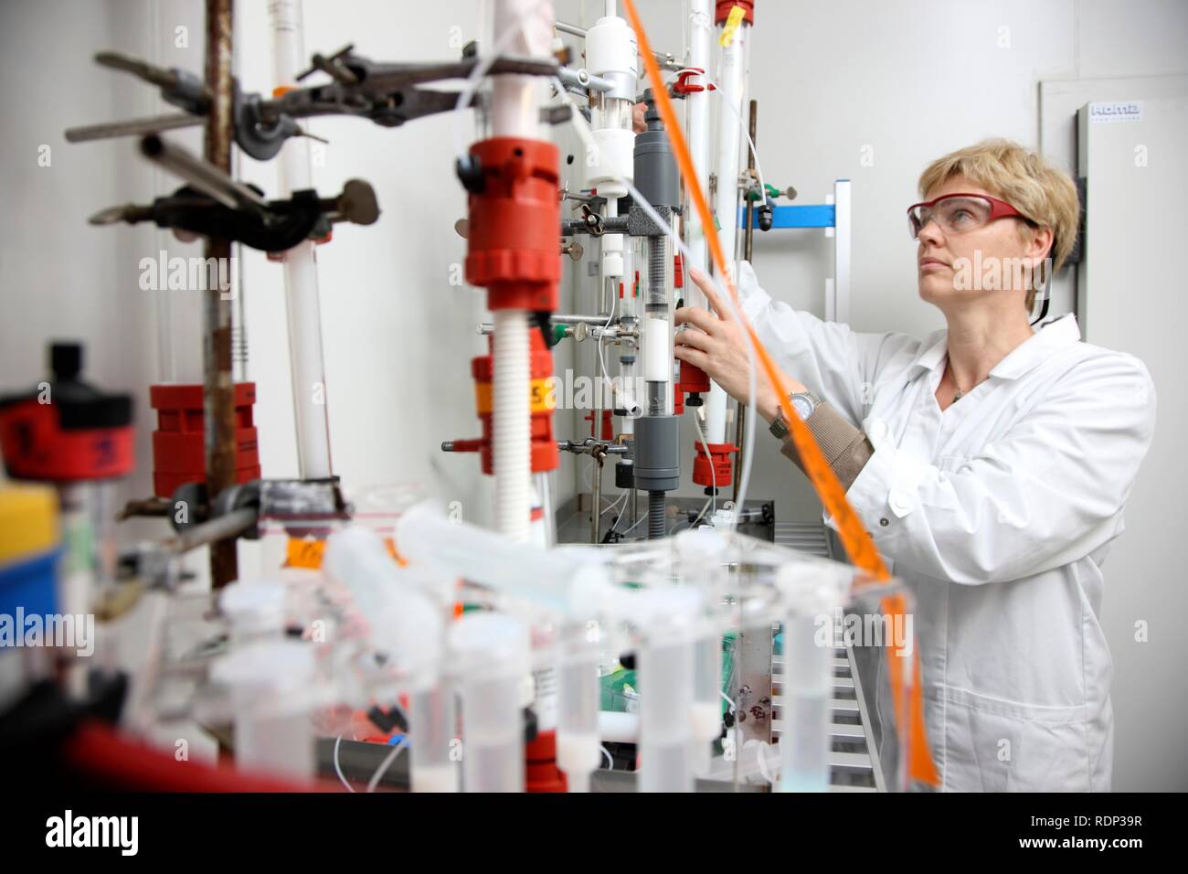 Laboratory, a scientist working in a cooling chamber on a chromatography column for protein purification, Centre for Medical Stock Photo