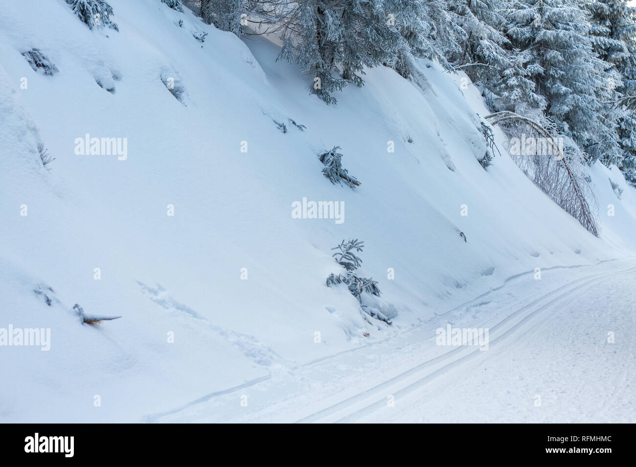 Beautiful white snowy winter landscape at the Black Forest in Southern Germany Stock Photo