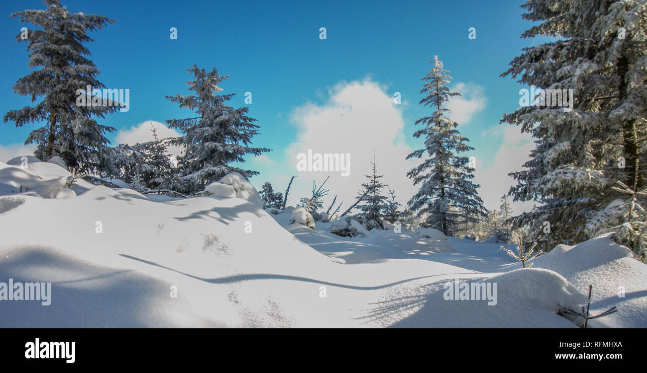 Beautiful white snowy winter landscape at the Black Forest in Southern Germany Stock Photo