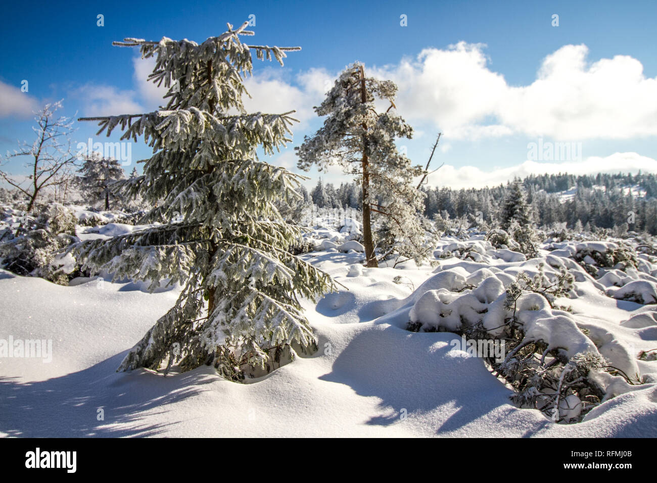 Beautiful white snowy winter landscape at the Black Forest in Southern Germany Stock Photo