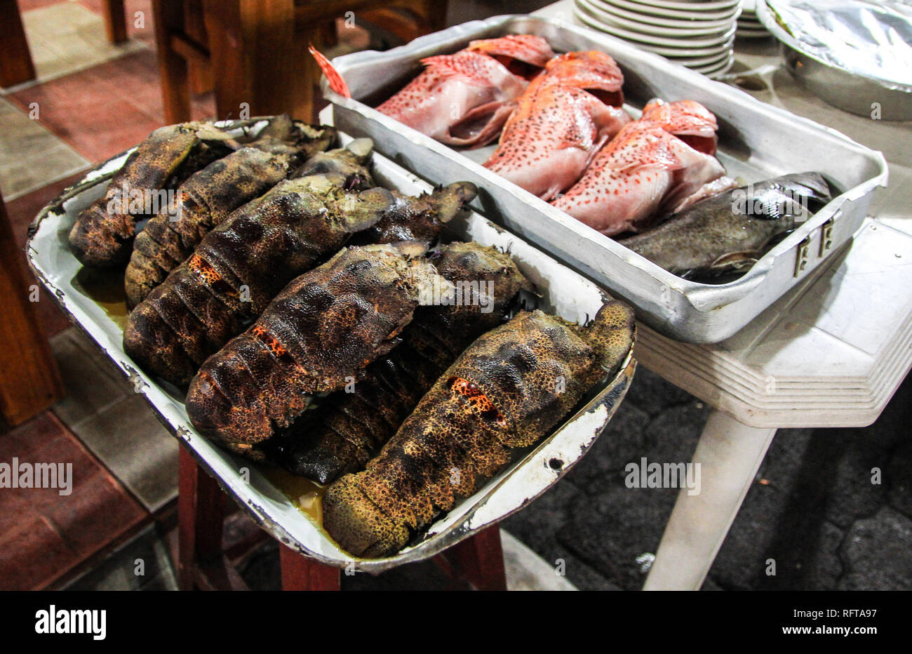 Catch of the day at Puerto Ayora, Galapagos, Ecuador Stock Photo