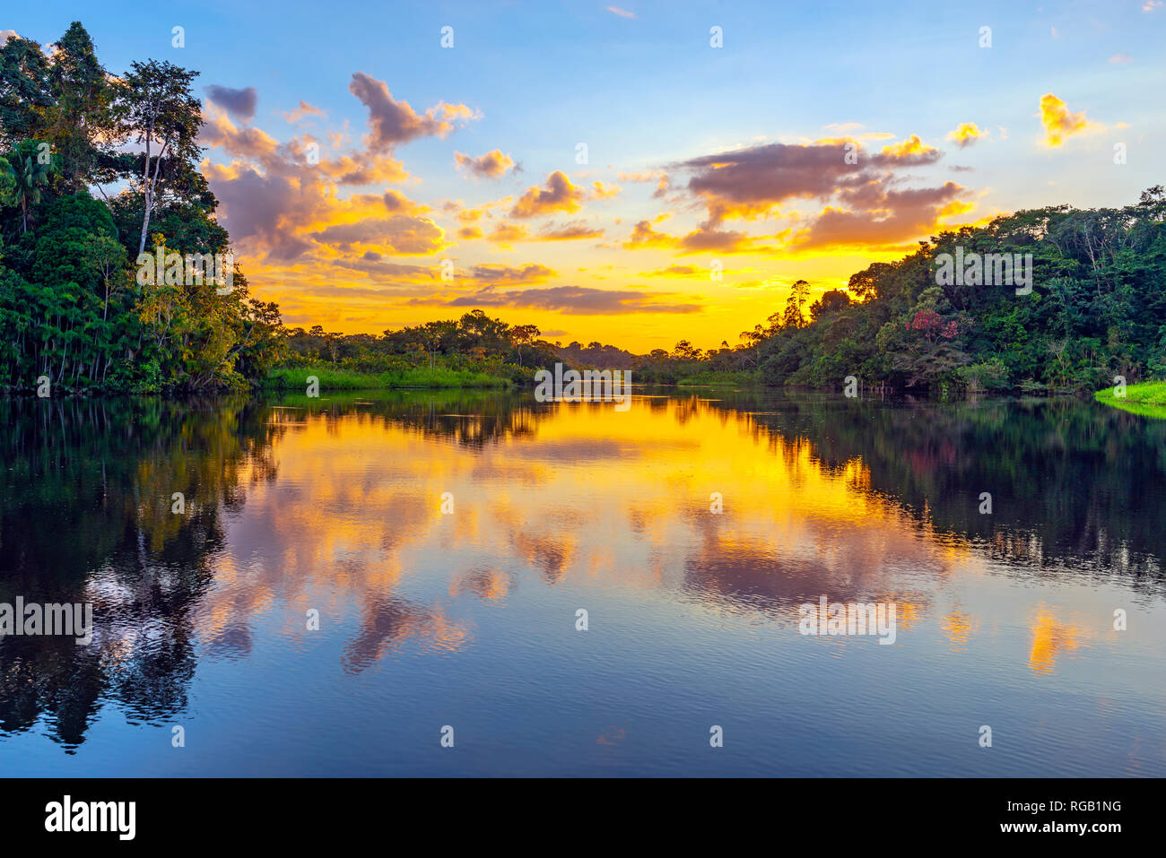 Sunset in the Amazon Rainforest, Yasuni national park. The rainforest comprise the countries of Ecuador, Peru, Bolivia, Brazil, Colombia, Venezuela... Stock Photo