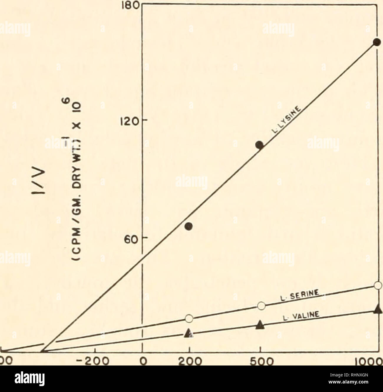 . The Biological bulletin. Biology; Zoology; Biology; Marine Biology. 130 READ, SIMMONS, JR., CAMPBELL AND ROTHMAN intestinal tissue of the dogfish, shown to be mutually competitive in the case of L-serine and L-valine, is consistent with the observations of others who have reported inhibition of intestinal absorption of single amino acids by other amino acid species in warm-blooded vertebrates (Wiseman, 1955, 1956; Agar et al., 1956). A difference, however, is observed in the case of L-histidine uptake by dogfish and rat intestinal tissues. Agar ct al. (1956) found that L-histidine uptake was Stock Photo