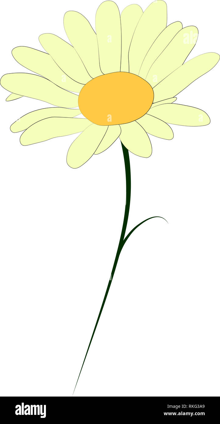 Illustration of a daisy Stock Photo