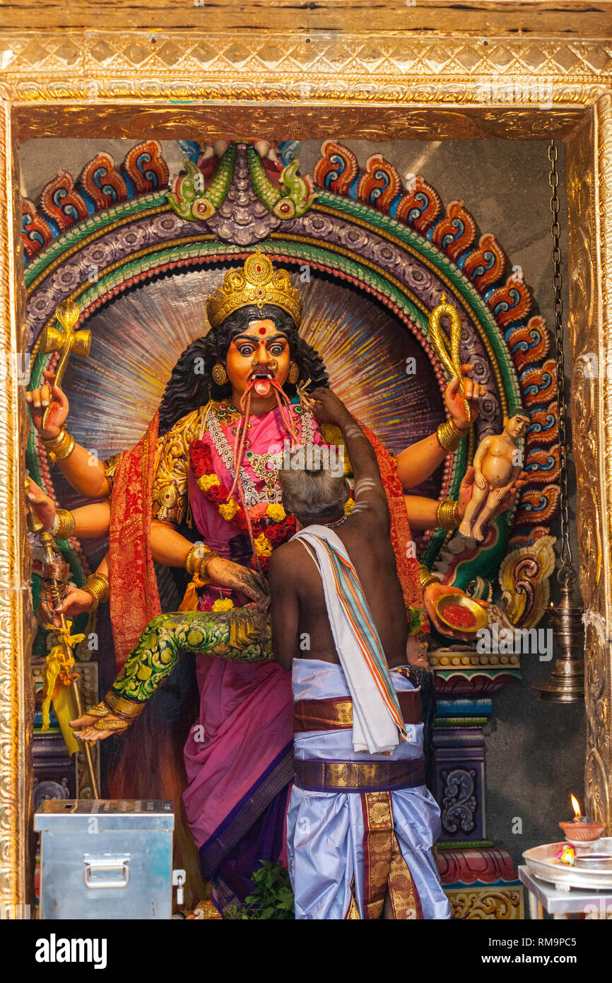 Hindu Priest Attaching Garland to Periyachi Amman, Tamil Hindu Deity, Guardian of Children, at Hindu Temple Sri Vadapathira Kaliamman, Singapore. Stock Photo