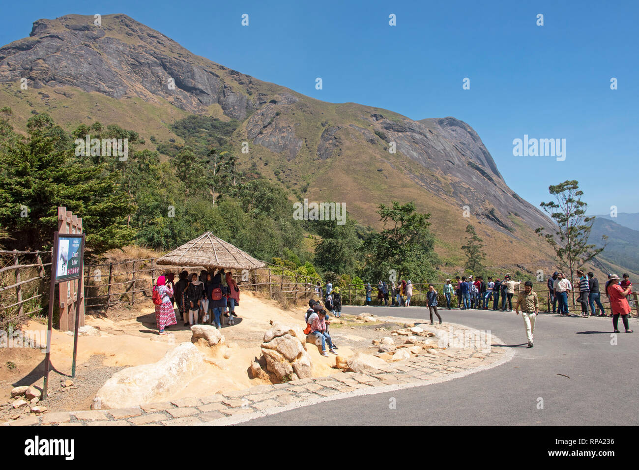 Anamudi Mountain (right peak) - the highest peak in the Western Ghats and South India located in the Anamudi Shola National Park, Kerala. Stock Photo