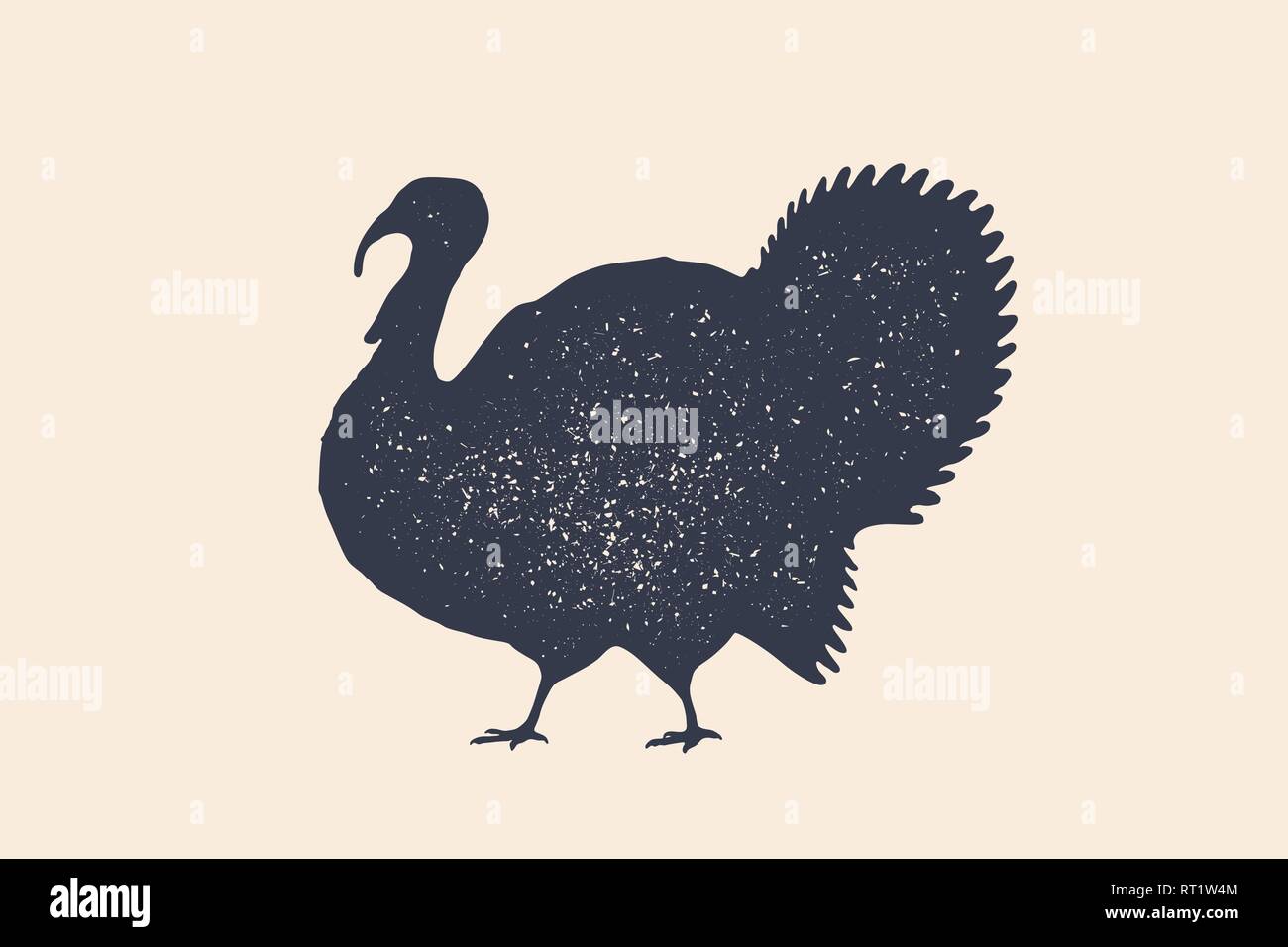 Turkey, bird. Concept design of farm animals Stock Vector