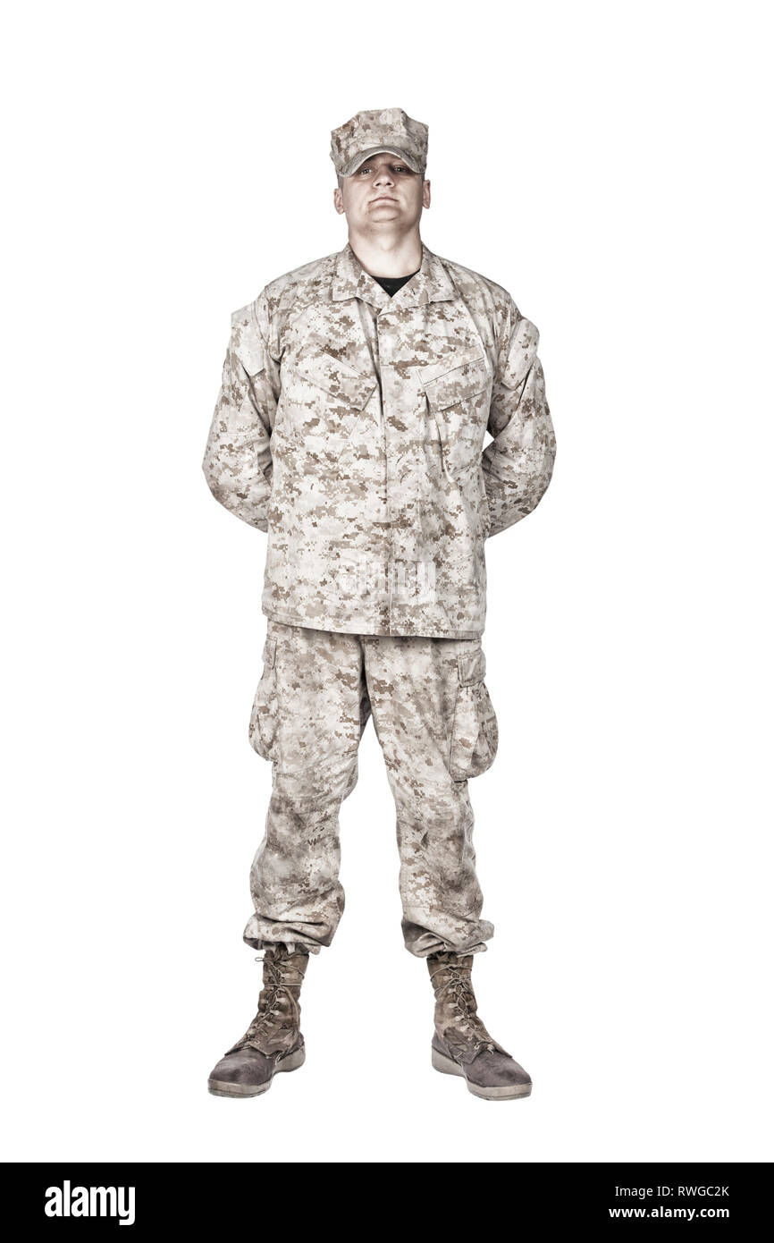 Studio shot of soldier in camouflage uniform standing at parade rest position. Stock Photo