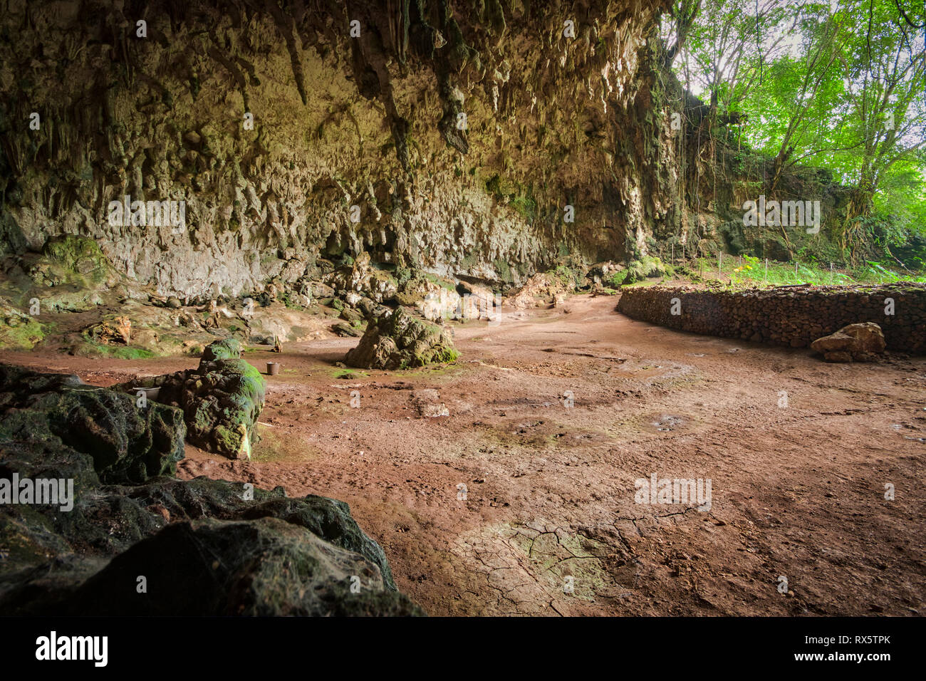 The remains of Homo Floresiensis, an extinct species in the genus Homo, were discovered in 2003 at Liang Bua on the island of Flores in Indonesia. Stock Photo