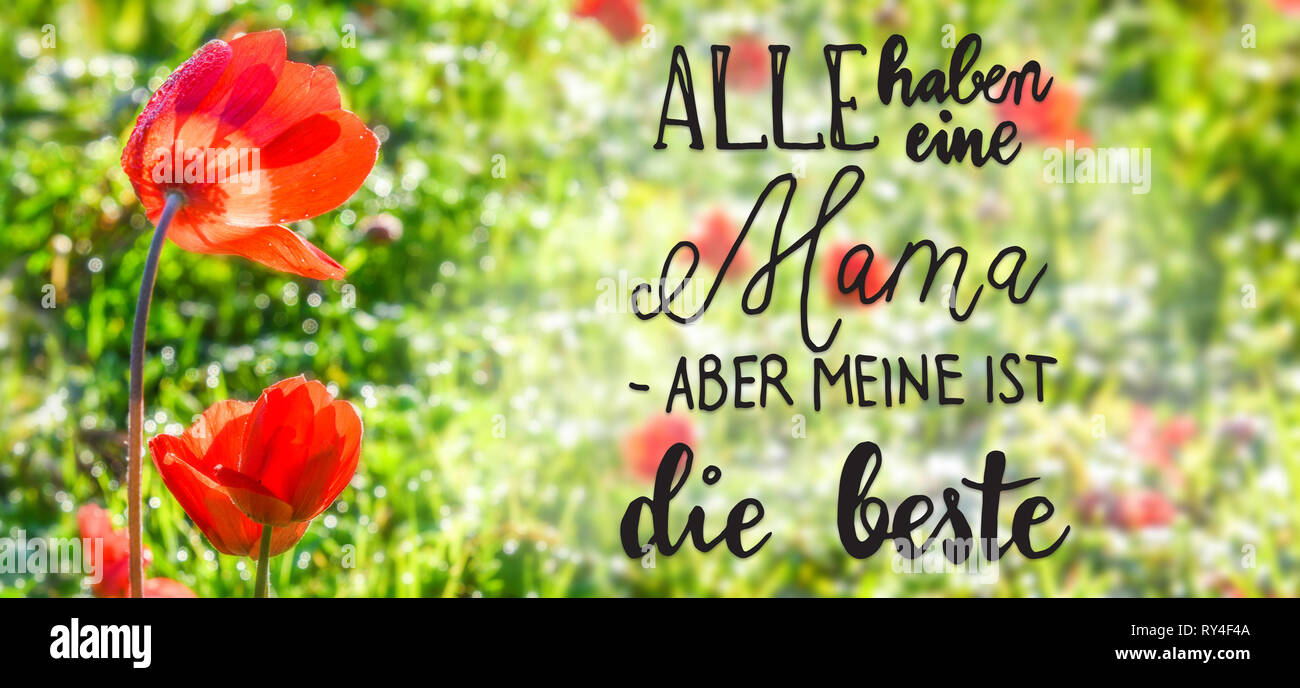 Poppy Flower, Spring, Calligraphy Beste Mama Means Best Mom Stock Photo