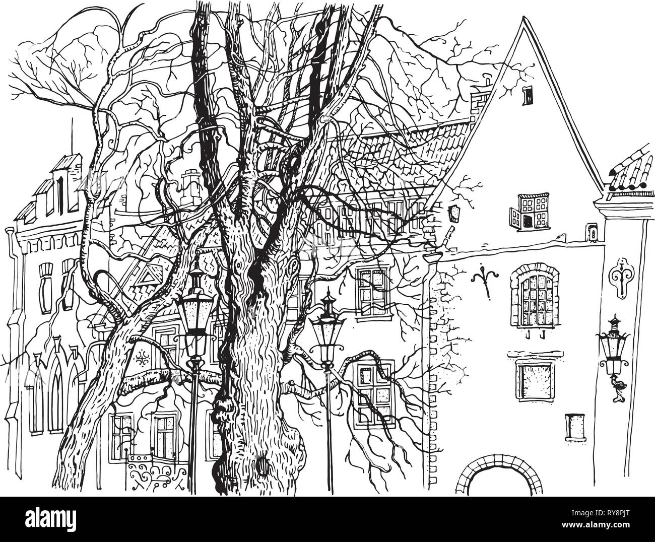 Tallinn Old Town view. Olevimagi street. Hand drawn graphic style ink pen illustration. Historical architecture, medieval houses, trees. Baltic states Stock Vector