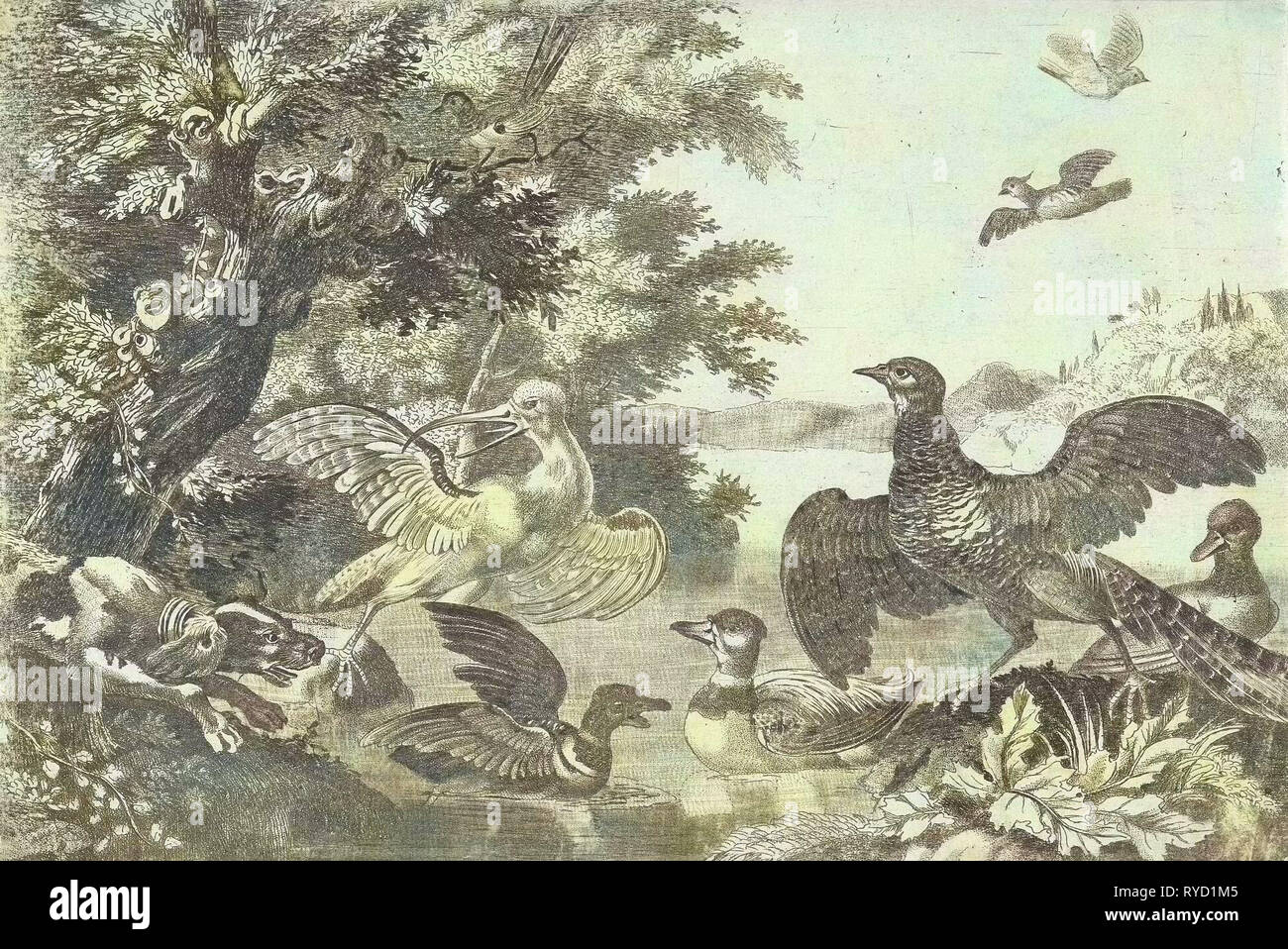 Waterfowl and a dog, Melchior d' Hondecoeter, Monogrammist RP, 1646 - 1695 Stock Photo