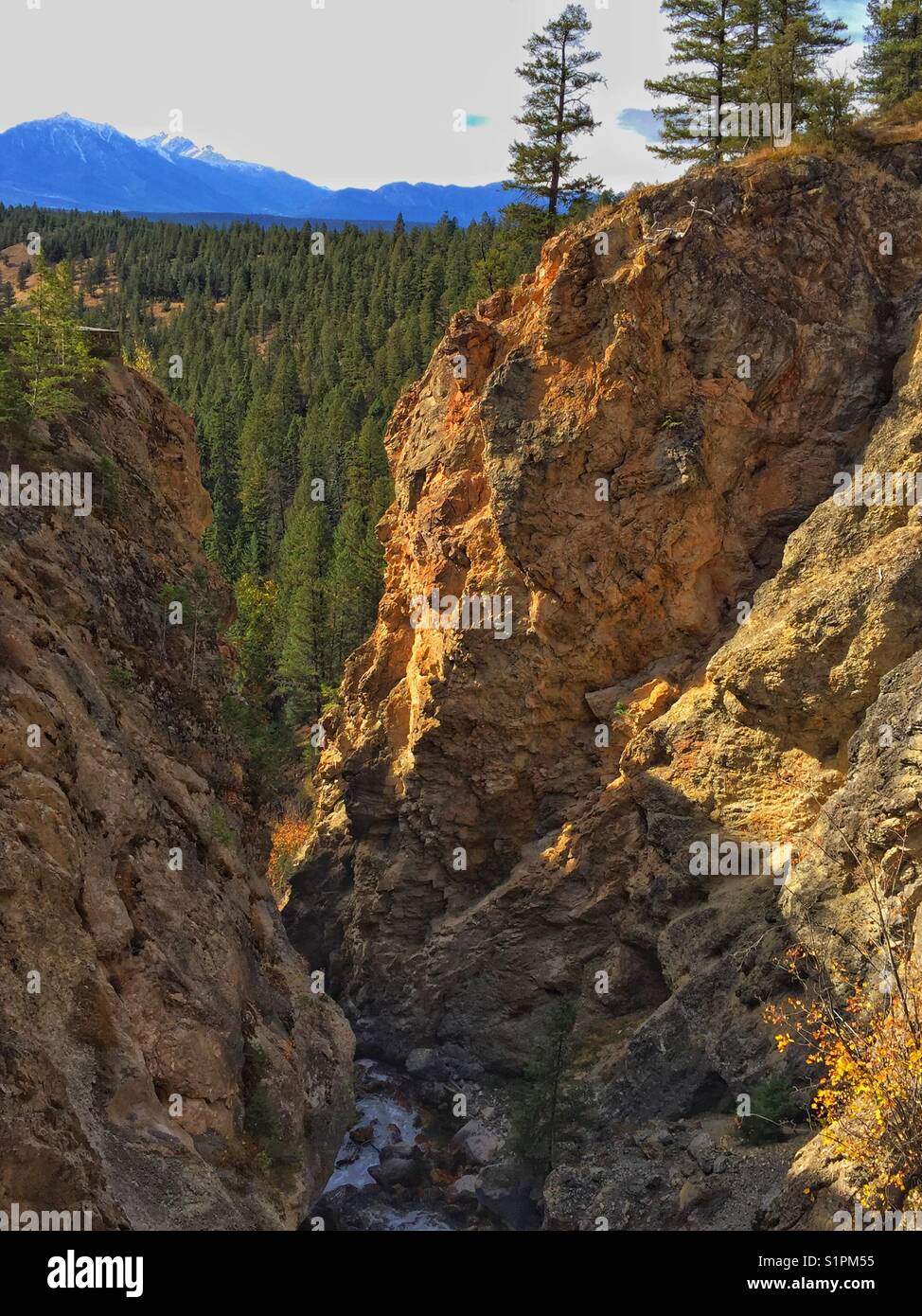 Sinclair Canyon, Radium, BC, Canada Stock Photo