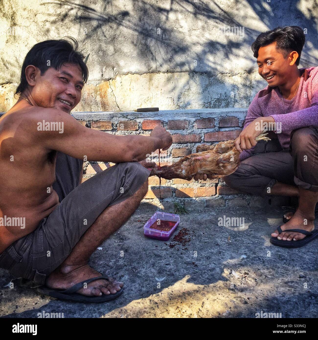 Villagers drain blood from a dead chicken for a festival, Bali, Indonesia Stock Photo