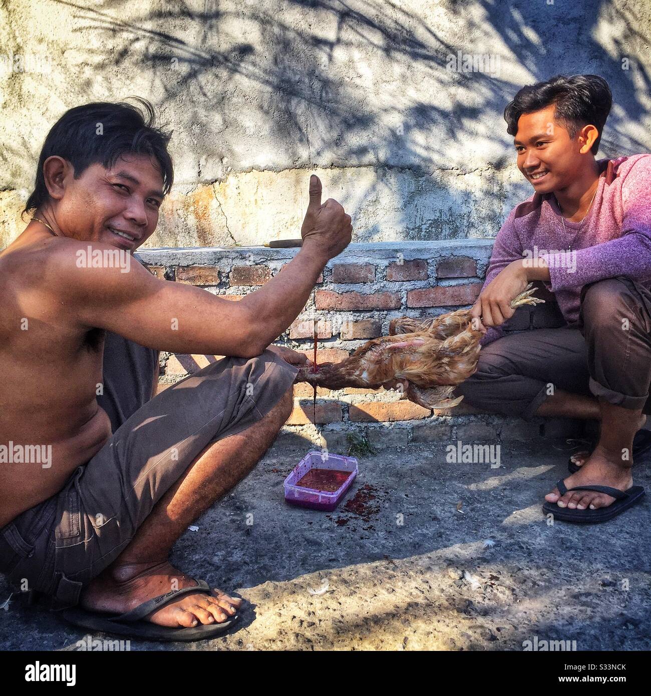 Villagers drain blood from a dead chicken for a festival, Bali, Indonesia Stock Photo