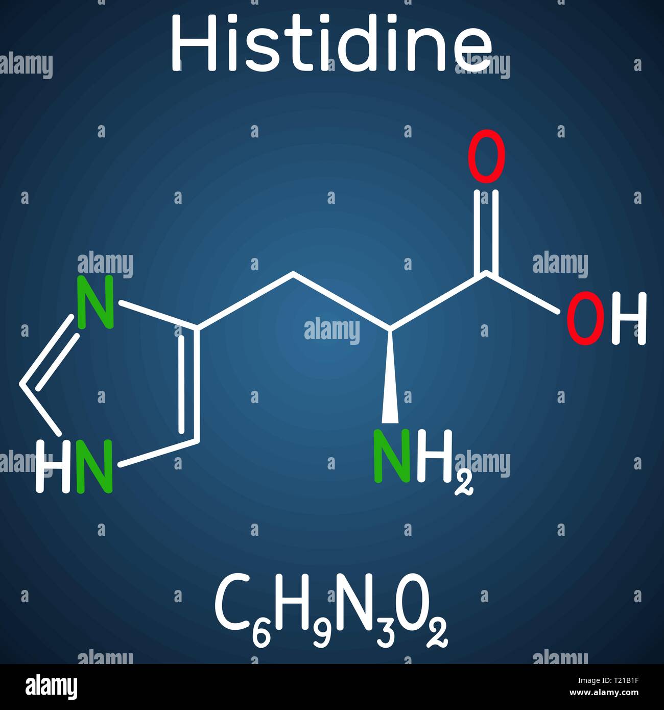 Histidine (L- histidine, His, H) amino acid molecule. It is used in the biosynthesis of proteins. Structural chemical formula on the dark blue backgro Stock Vector