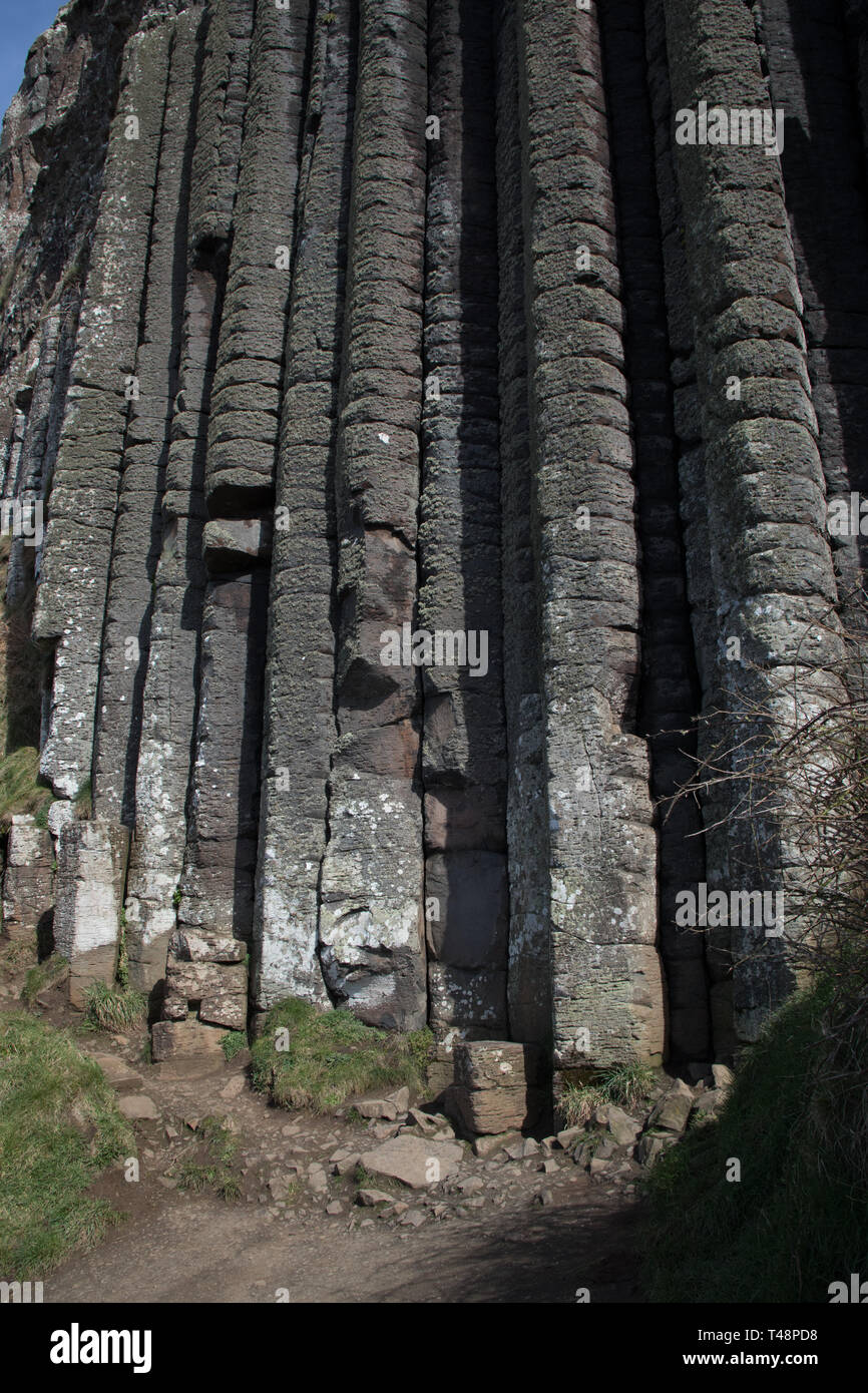 Tall basalt columns at the Giant's Causeway in Northern Ireland Stock Photo