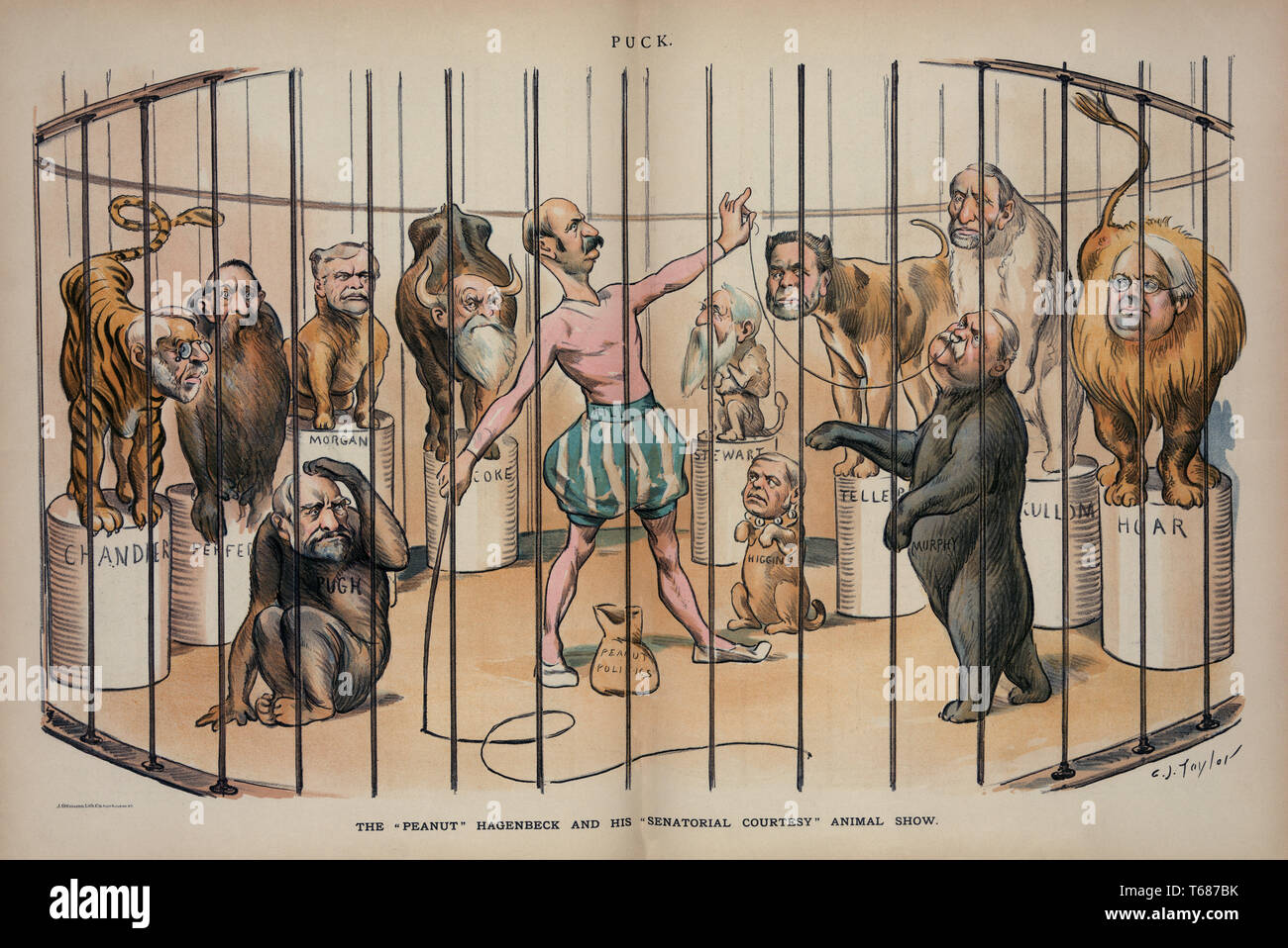 Political Cartoon Featuring U.S. Senator and for New York Governor David B. Hill, The 'peanut' Hagenbeck and his 'Senatorial Courtesy' Animal Show, drawing by Charles Jay Taylor, Lithograph by J. Ottoman Lith. Co., Puck Magazine, Keppler & Schwarzmann, February 7, 1894 Stock Photo