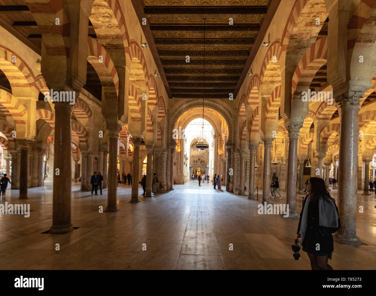 Arcaded hypostyle hall, with 856 columns of jasper, onyx, marble, granite and porphyry Mosque–Cathedral of Córdoba, Mezquita Cordoba, Andalusia, Spain Stock Photo