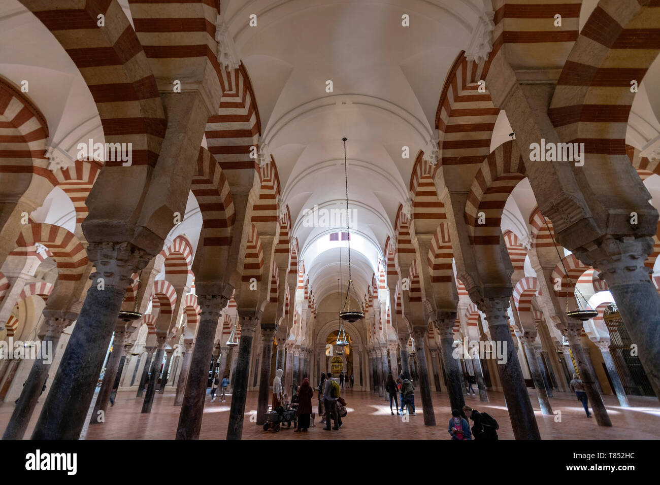 Arcaded hypostyle hall, with 856 columns of jasper, onyx, marble, granite and porphyry Mosque–Cathedral of Córdoba, Mezquita Cordoba, Andalusia, Spain Stock Photo