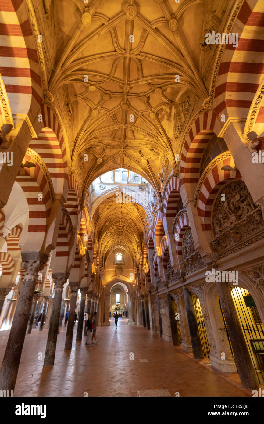 Arcaded hypostyle hall, with 856 columns of jasper, onyx, marble, granite and porphyry Mosque–Cathedral of Córdoba, Mezquita Cordoba, Andalusia, Spain Stock Photo