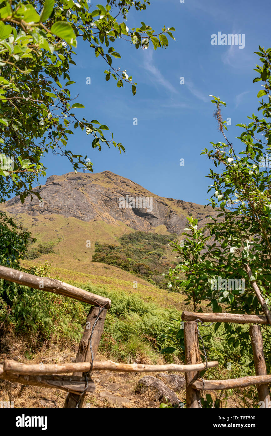 Vertical view of Ana Mudi peak in Eravikulam National Park in Munnar, India. Stock Photo