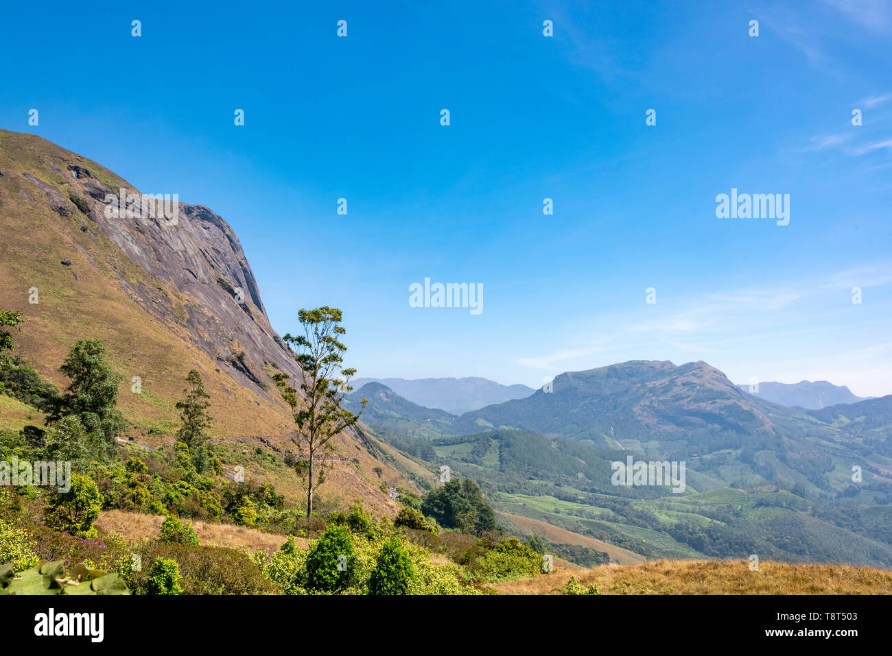 Horizontal view of Ana Mudi peak in Eravikulam National Park in Munnar, India. Stock Photo