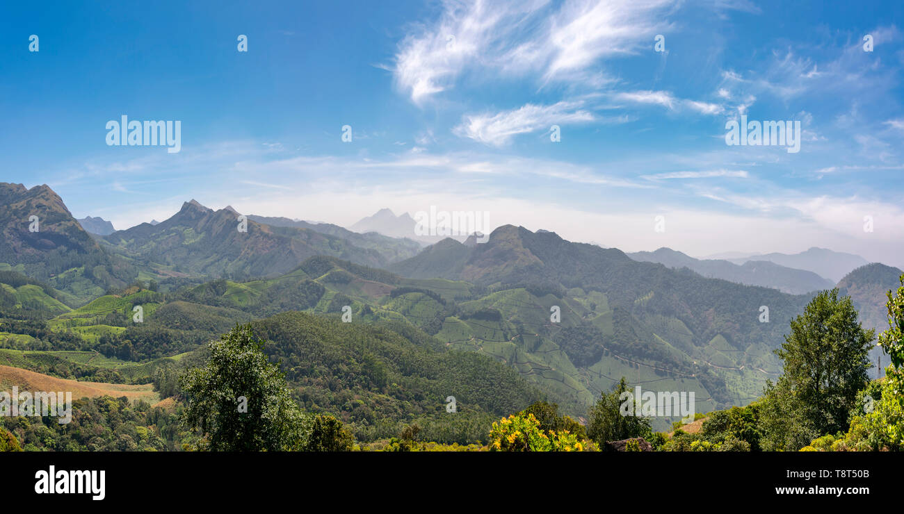 Horizontal panoramic view across the Kanan Devan Hills in Munnar, India. Stock Photo