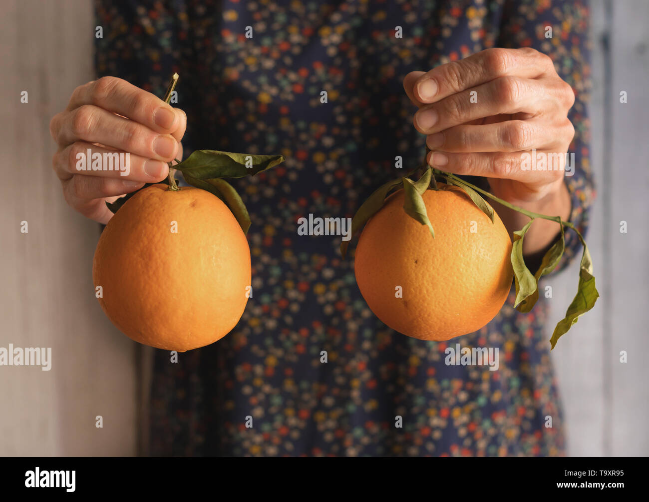 Human hands holding two oranges, view from the front Stock Photo