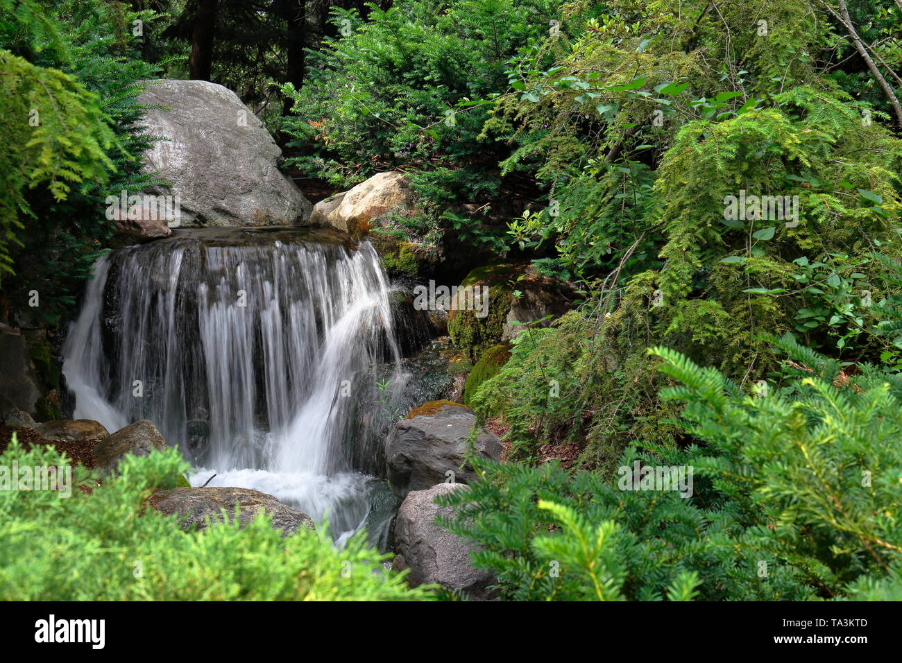 Small, man made waterfall surrounded by ornamental plants Stock Photo