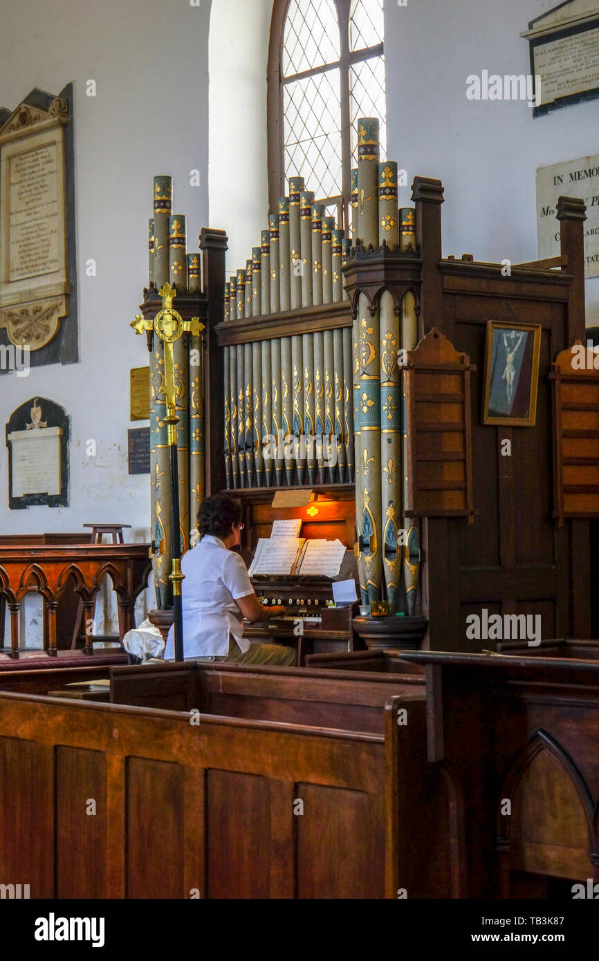 A woman plays the pipe organ at Saint Paul's Cathedral. St Helena island, BOT Stock Photo