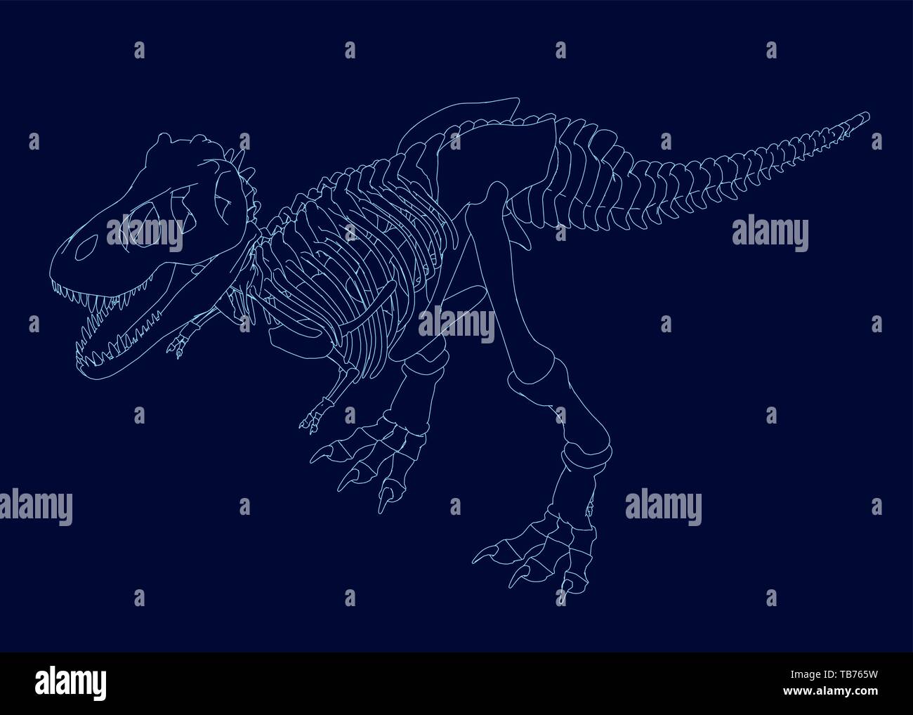 Contour of a dinosaur skeleton. Isometric view. Vector illustration Stock Vector