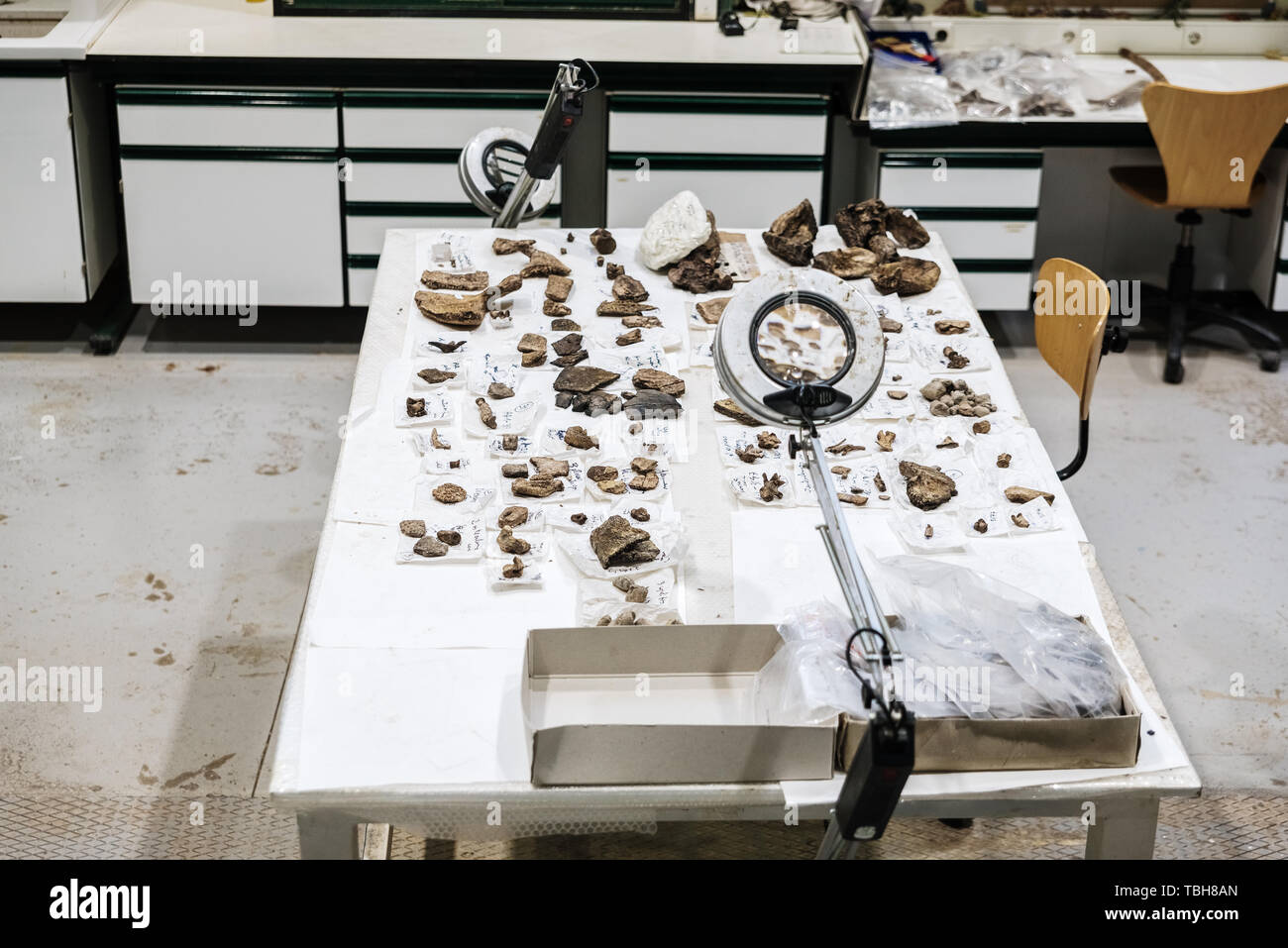 Teruel, Spain - April 26, 2019: Working tables of paleontologists in a science museum. Stock Photo