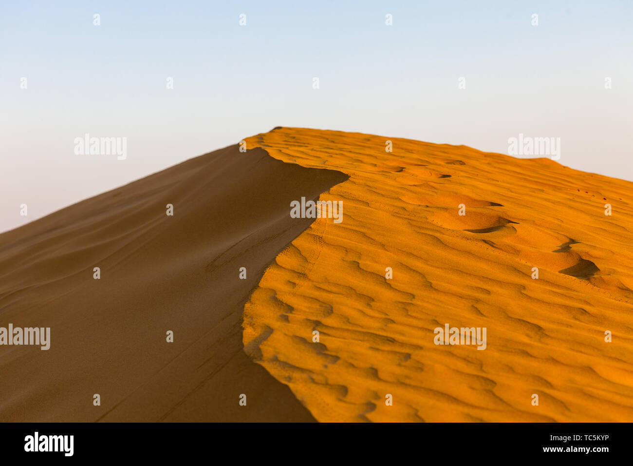 Sand dunes at sunset India Stock Photo