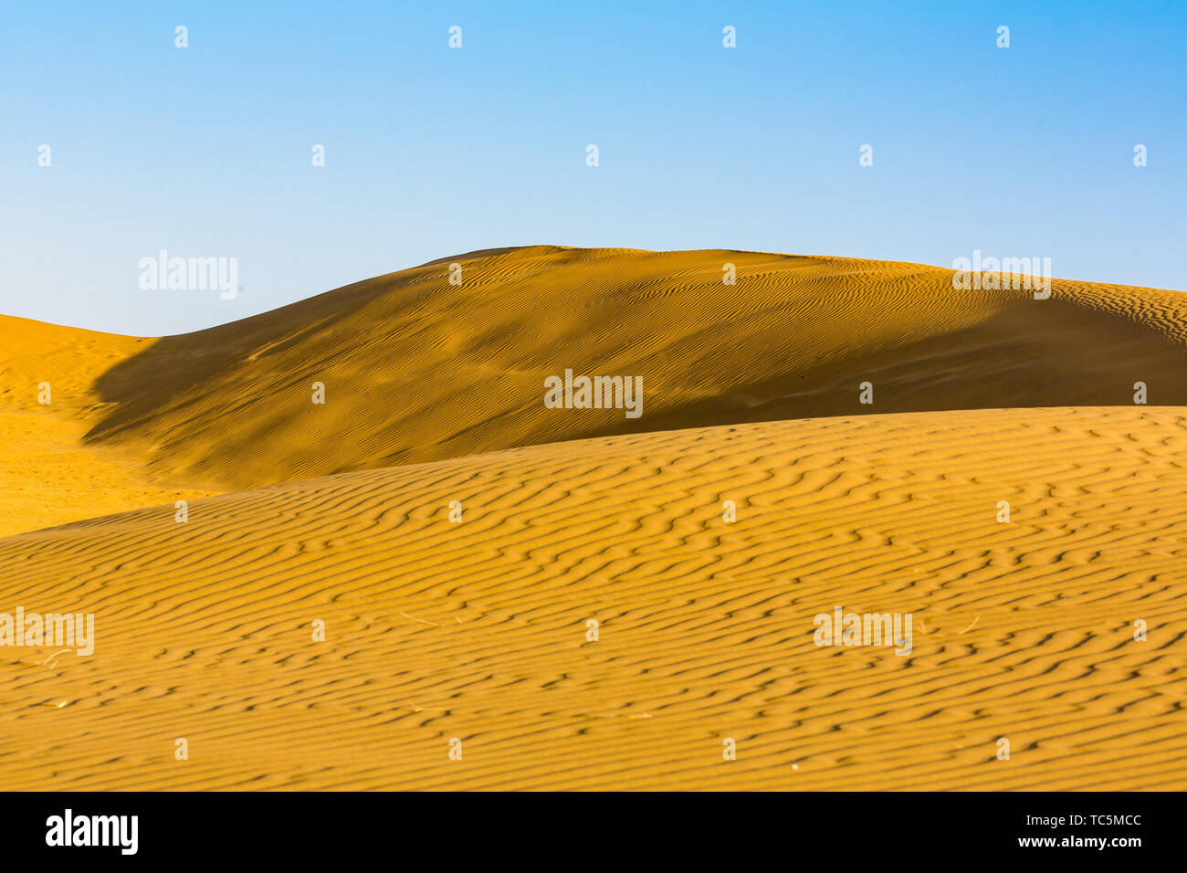 Sand dunes at sunset India Stock Photo