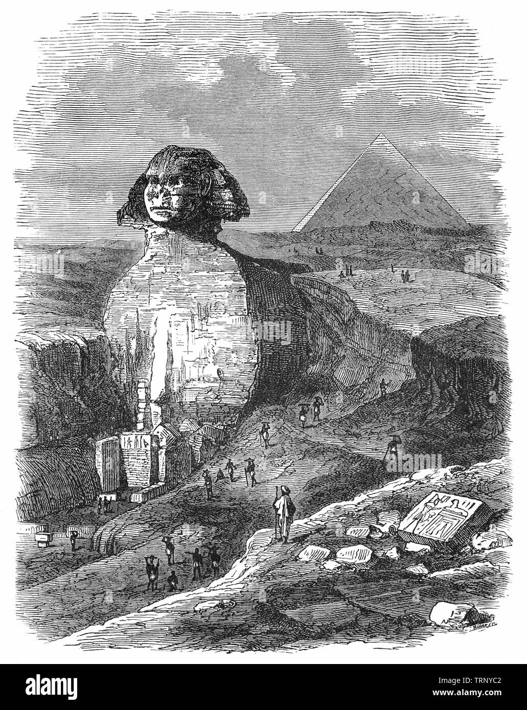 The Great Sphinx of Giza, literally The Terrifying One amidst Egyptian pyramids is a limestone statue of a reclining sphinx, a mythical creature with the body of a lion and the head of a human.Facing directly from West to East, it stands on the Giza Plateau on the west bank of the Nile in Giza, Egypt. The Sphinx  is the oldest known monumental sculpture in Egypt and is commonly believed to have been built by ancient Egyptians of the Old Kingdom during the reign of the Pharaoh Khafre. Stock Photo