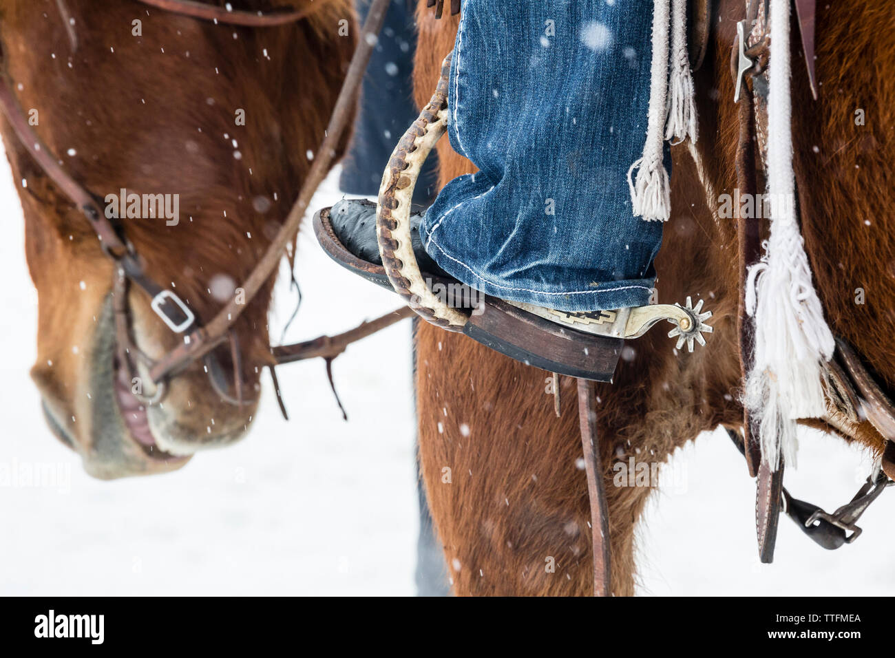 Skijoring at the Steamboat Springs Winter Carnival Stock Photo