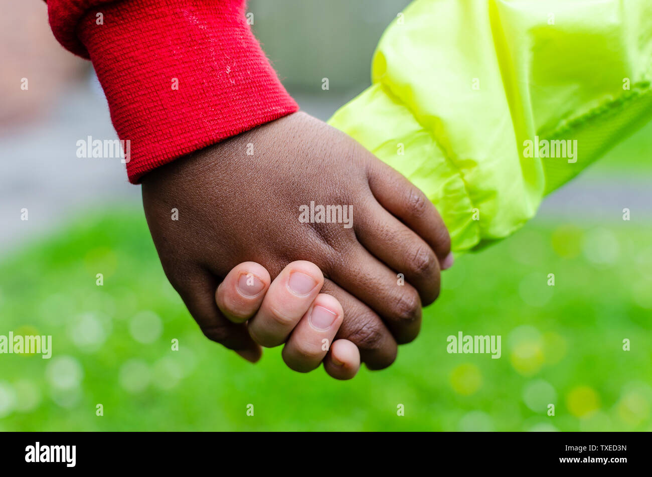 Two children of different races holding hands together. Photo shows friendship, equality and diversity. One Caucasian the other is dark (black). Stock Photo