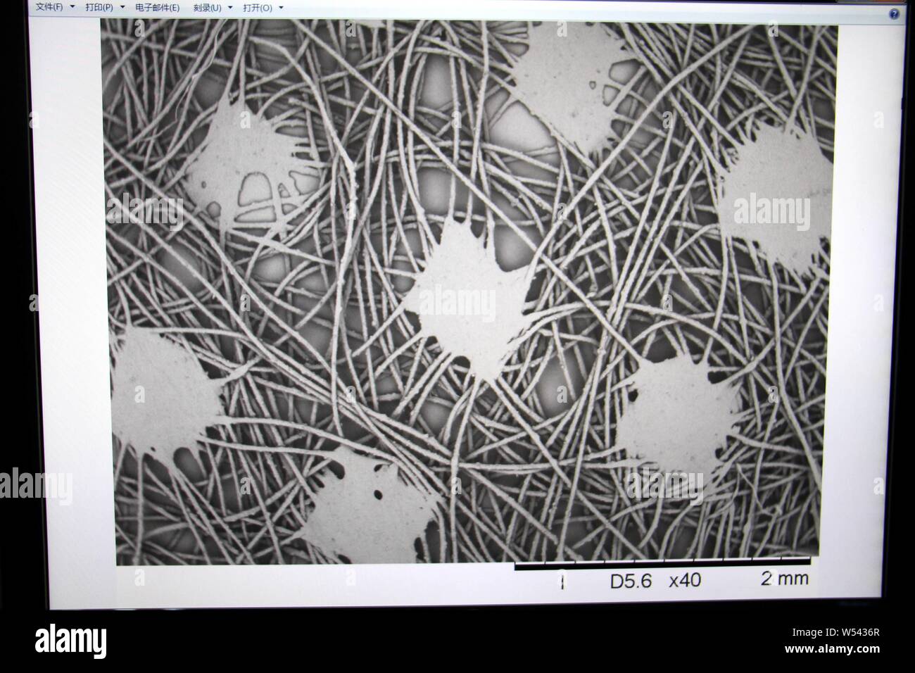 A Chines worker uses a scanning electron microscope to observe the structure of China's first far infrared conductive heating fiber developed based on Stock Photo