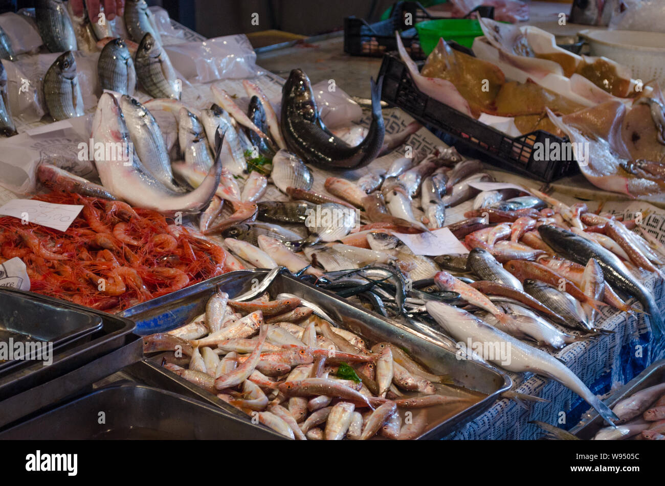 Fresh fish displayed at stall on local market of Catania, Sicily. Crates full of colored seafood in the fish market of Catania Stock Photo