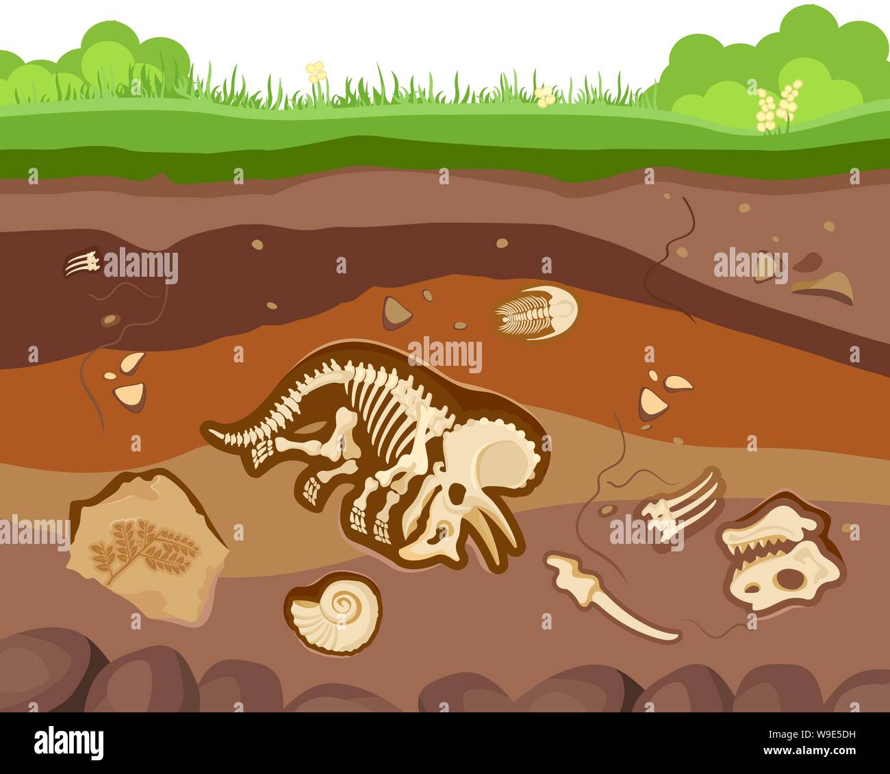 Soil ground layers with buried fossil animals, dinosaur, crustaceans and bones. Vector flat style cartoon illustration Stock Vector