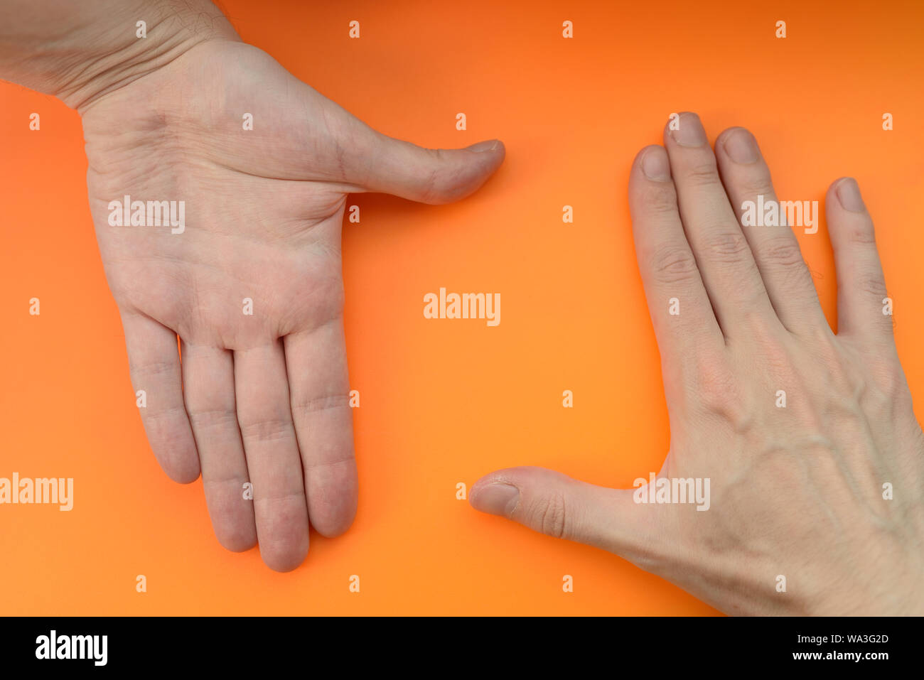 Hands making frame on orange background. Stock Photo