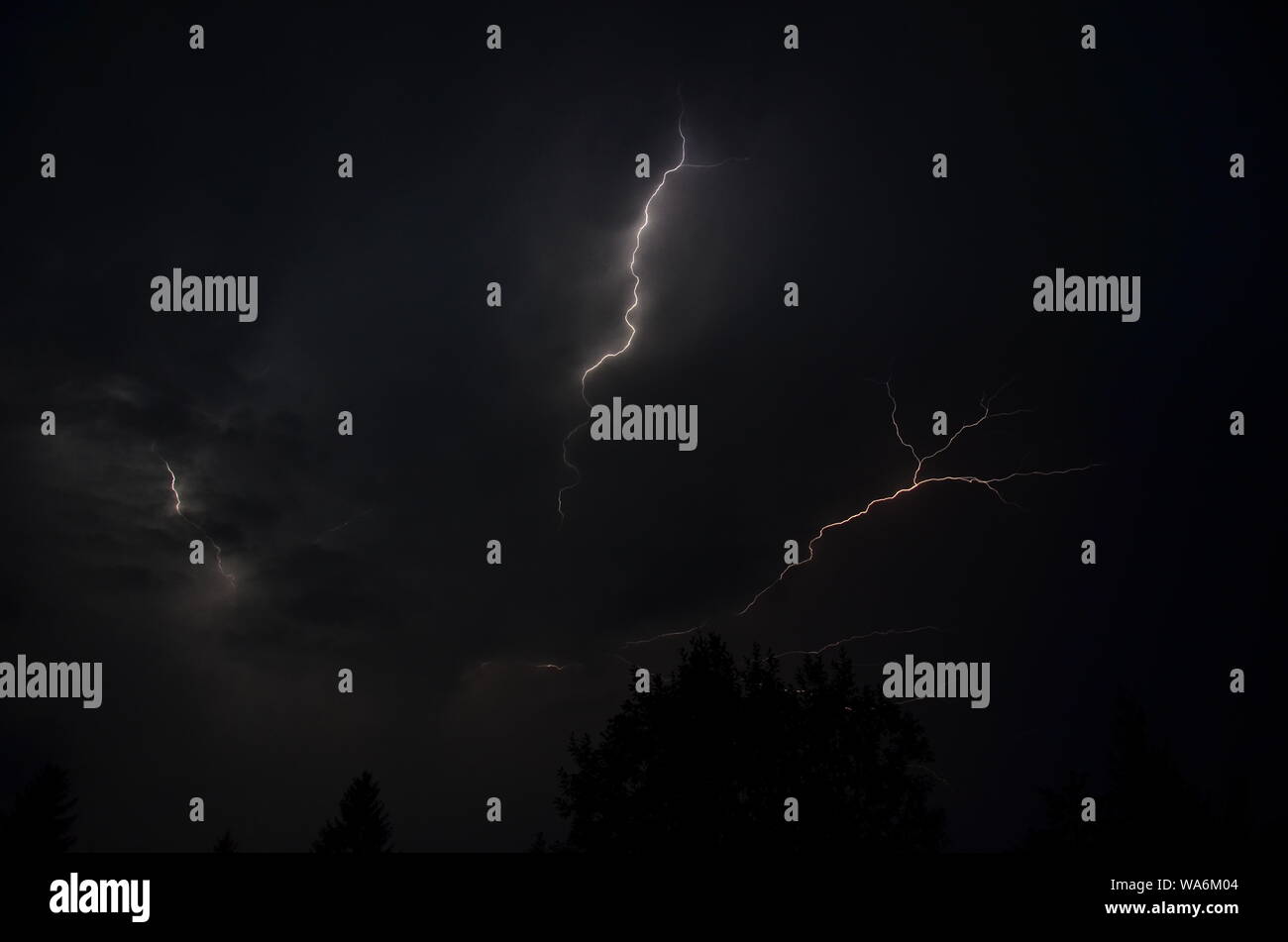 Canary birds and lightning storm Stock Photo