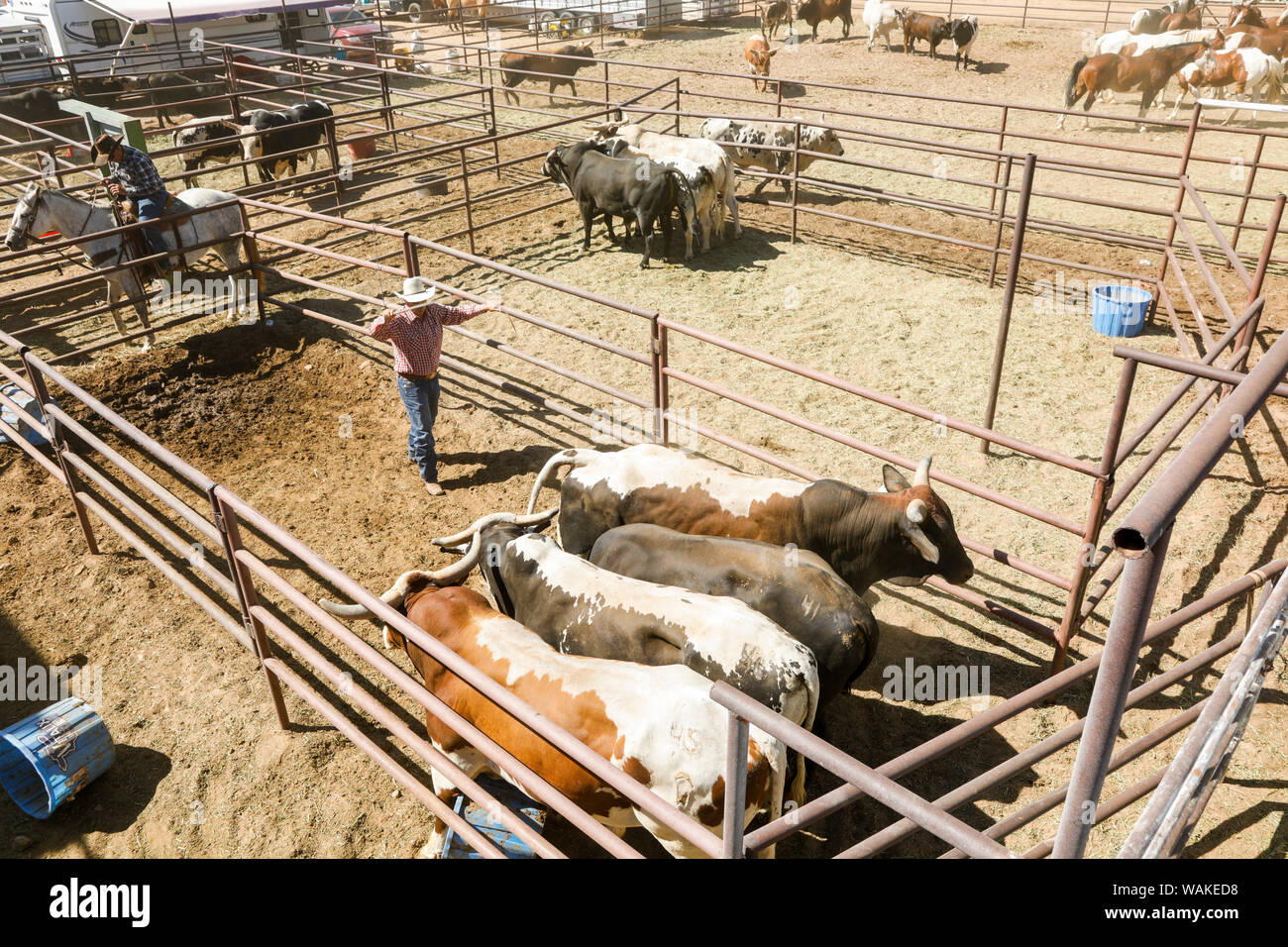 Taos, New Mexico, USA. Small town rodeo Stock Photo