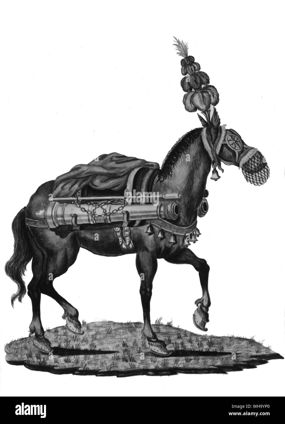 Pack artillery, c.1700. Horse dressed with military garb. Stock Photo