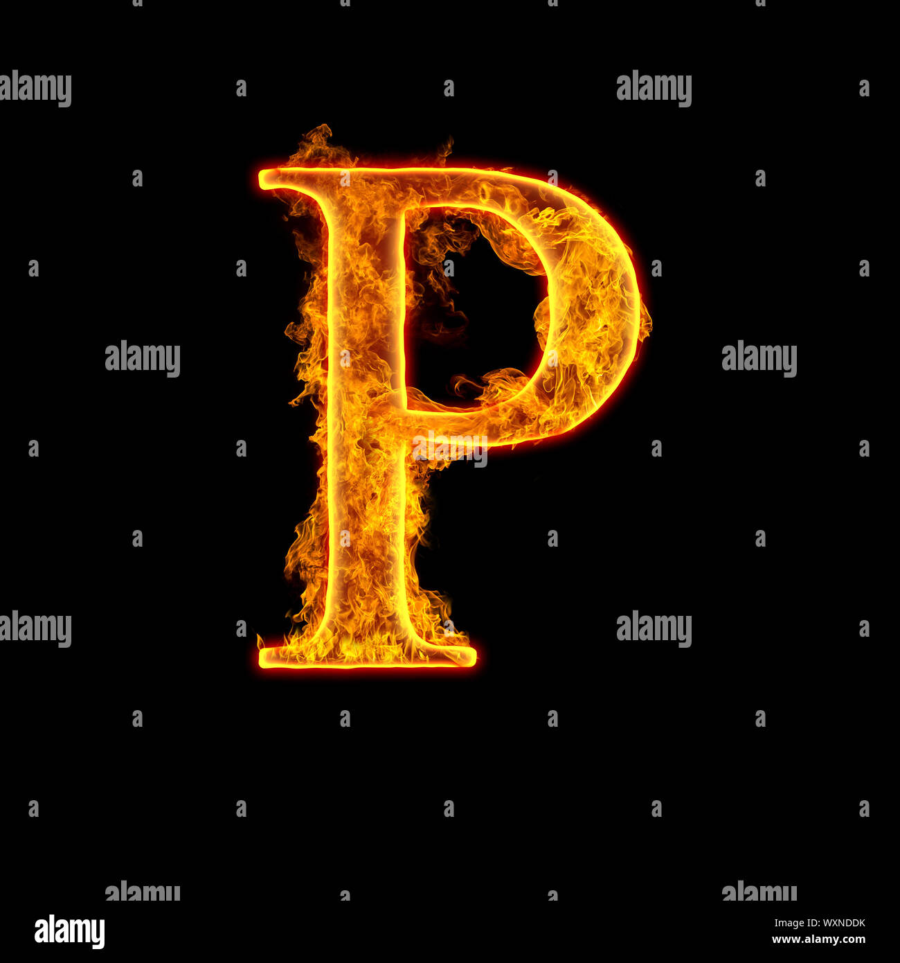 Collection of 999+ Amazing Full 4K Images Featuring the Letter P