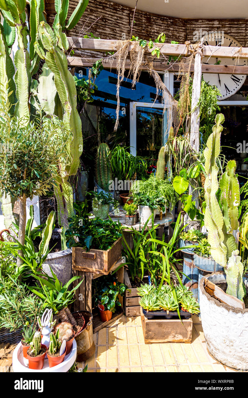 Atelier de Kentia florist shop in Sant Francesc Xavier, Formentera, Balearic Islands, Spain Stock Photo