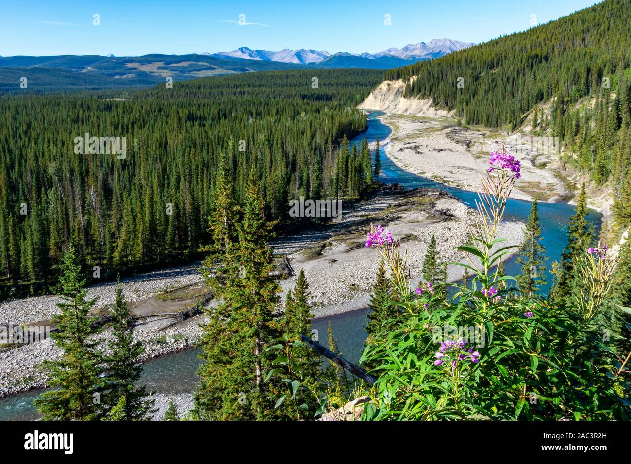 Schöne Mountain Vista mit einem rollenden Fluss, hohen Pinien, die Berge in der Ferne und einen bewölkten Himmel. Stockfoto