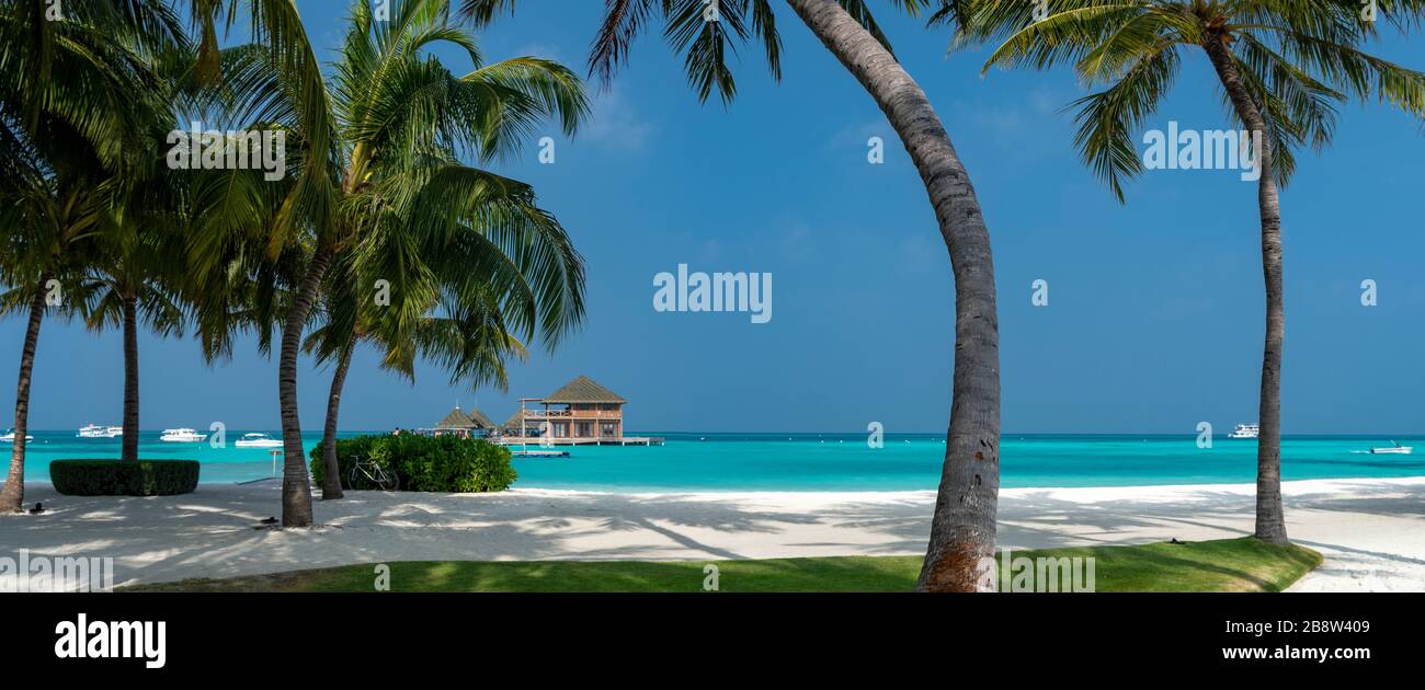 Strand von tropischer Insel auf den Malediven Stockfoto