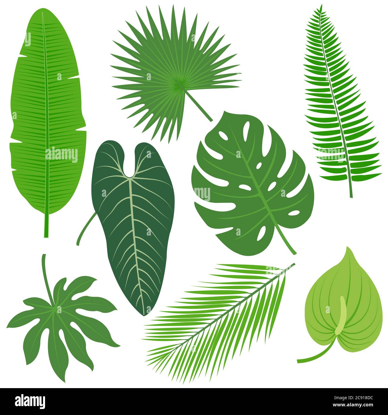 Leaves illustration Ausgeschnittene Stockfotos und -bilder - Alamy